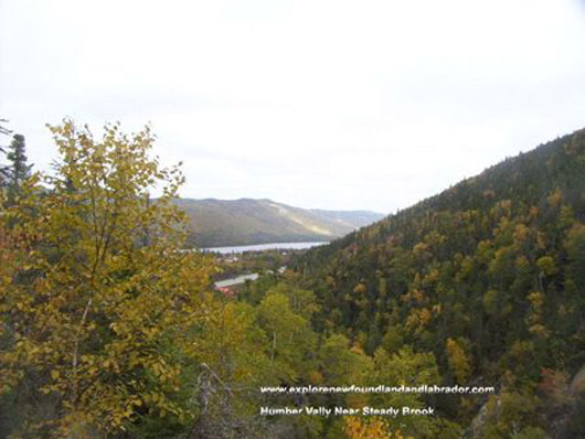 A Scenic Picture of the Humber Valley near Steady Brook, Newfoundland and Labrador