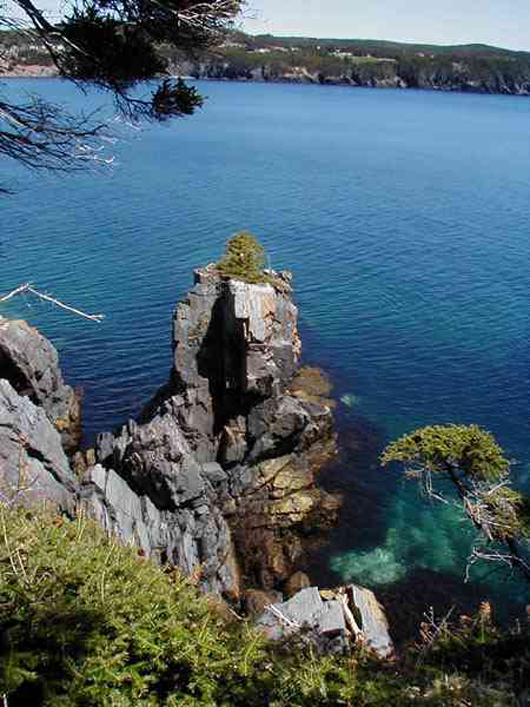 Caplin Bay Path Stack, East Coast Trail