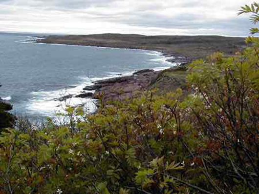 Motion Path South Of Petty Harbour, Newfoundland and Labrador