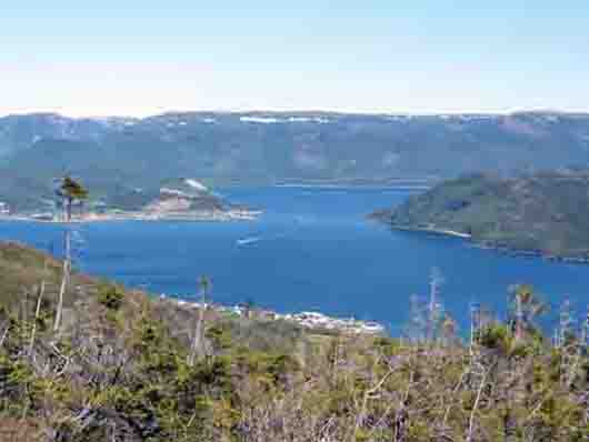Picture of Norris Point - Neddy's Harbour