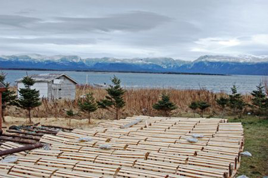 A Scenic Picture in Parsons Pond, Newfoundland and Labrador