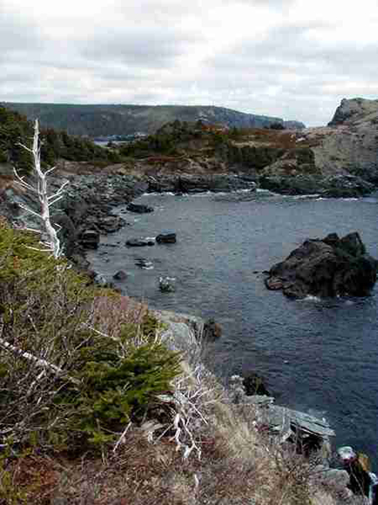 Roaring Cove - Flamber Head, East Coast Trail, Newfoundland and Labrador
