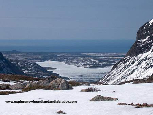 Snowmobiling in Gros Morne, Newfoundland and Labrador-Picture#10.
