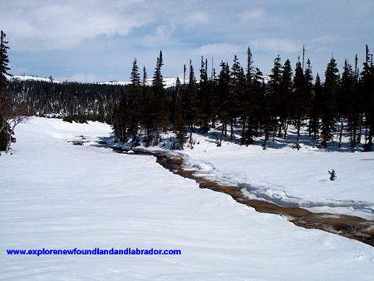 Snowmobiling in Gros Morne, Newfoundland and Labrador-Picture#4.