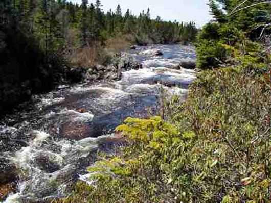 Spout River At Aquaforte, Newfoundland and Labrador