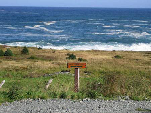 Rough Waters (scene 4) in Tors Cove, Newfoundland and Labrador.