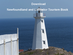 Download Newfoundland and Labrador Tourism Book